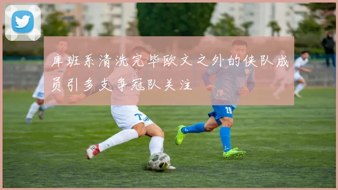 库班系清洗完毕欧文之外的侠队成员引多支争冠队关注