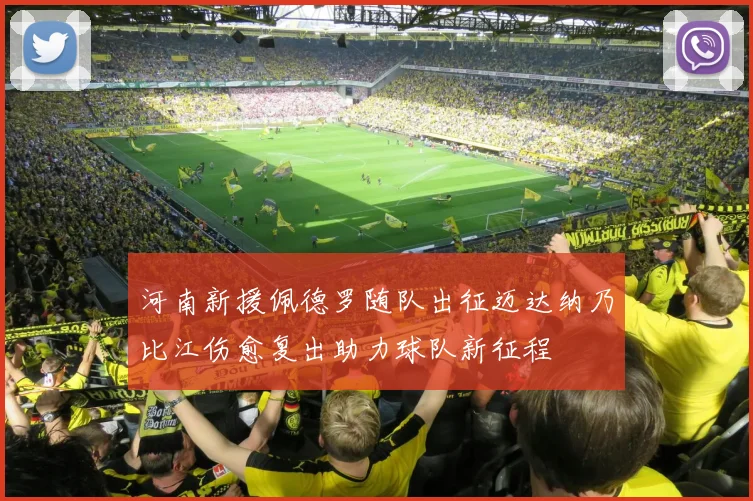 河南新援佩德罗随队出征迈达纳乃比江伤愈复出助力球队新征程