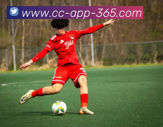 Bet365体育平台生态图